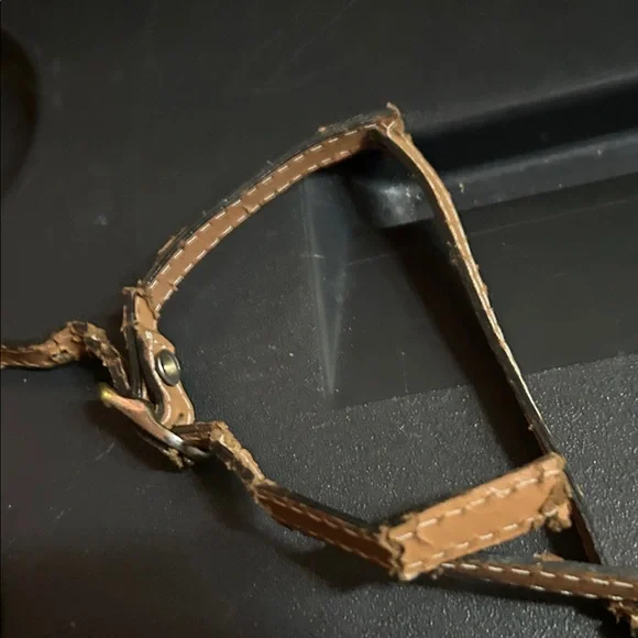 Fendi Brown Monogram Belt Bag with Tan Trim - Picture 5 of 6